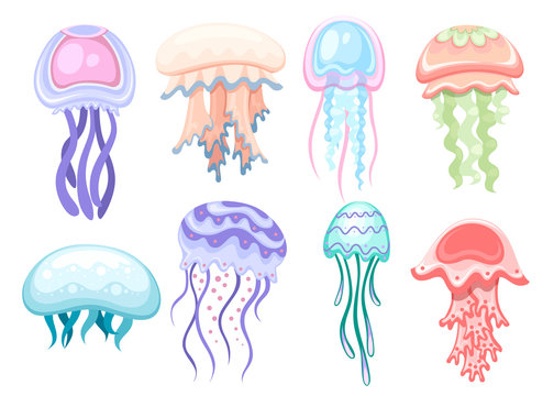 cartoon jellyfish pictures
