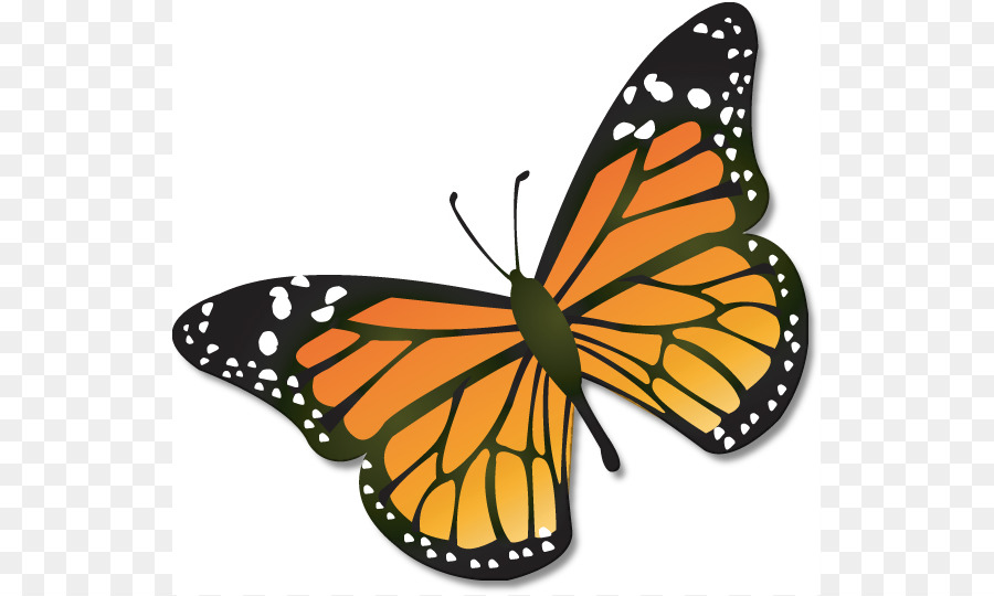 cartoon monarch butterfly