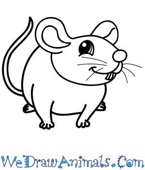 cartoon mouse pictures