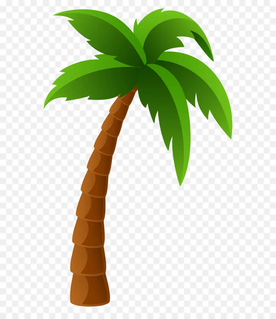 cartoon palm tree images