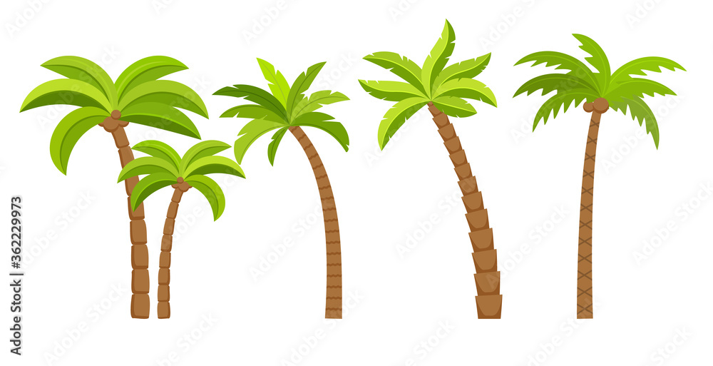 cartoon palm tree pictures