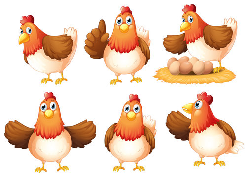 cartoon pics of chickens