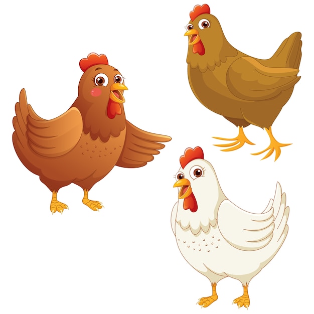 cartoon pics of chickens