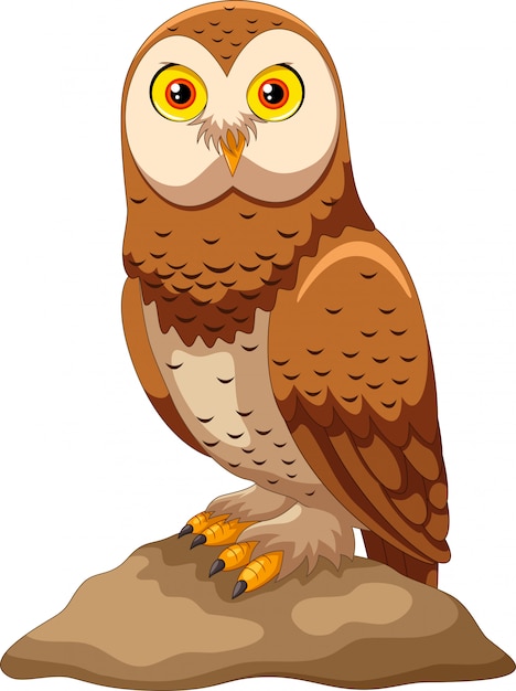 cartoon picture of an owl