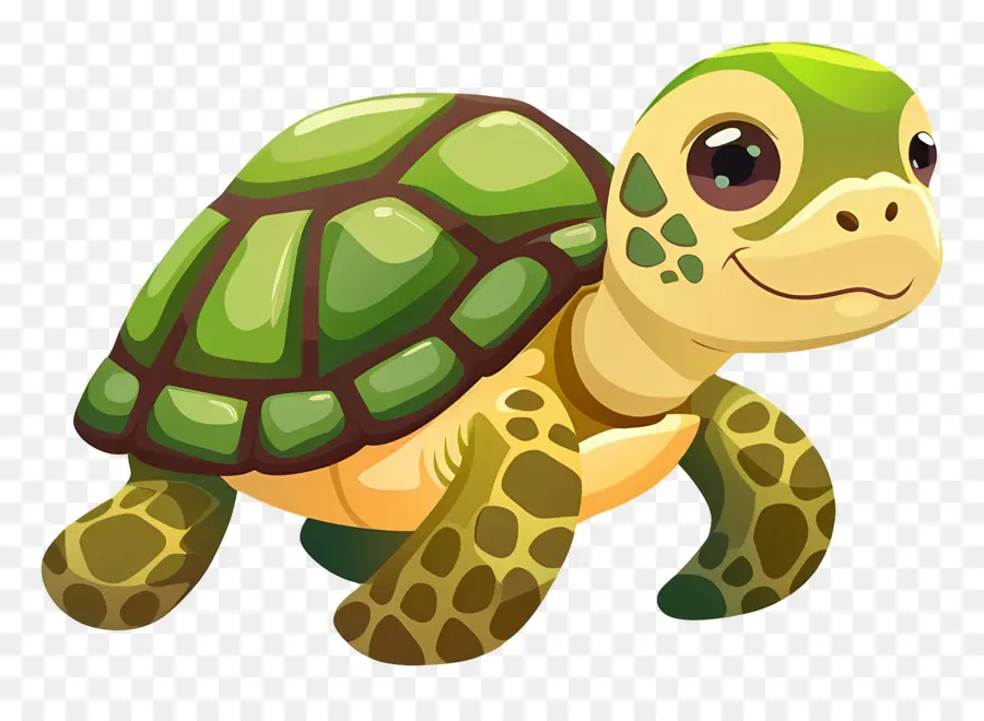 cartoon picture of turtle