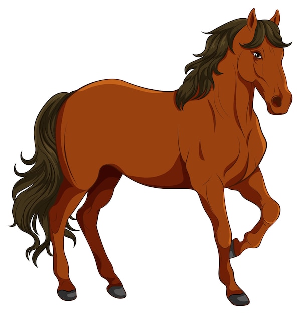 cartoon pictures of a horse