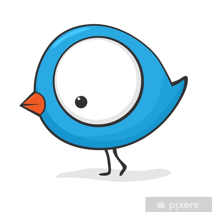 cartoon pictures of birds