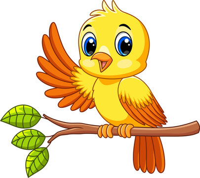 cartoon pictures of birds