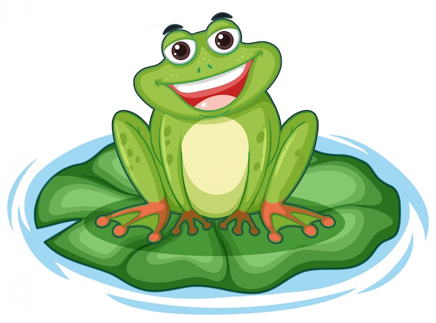 cartoon pictures of frogs