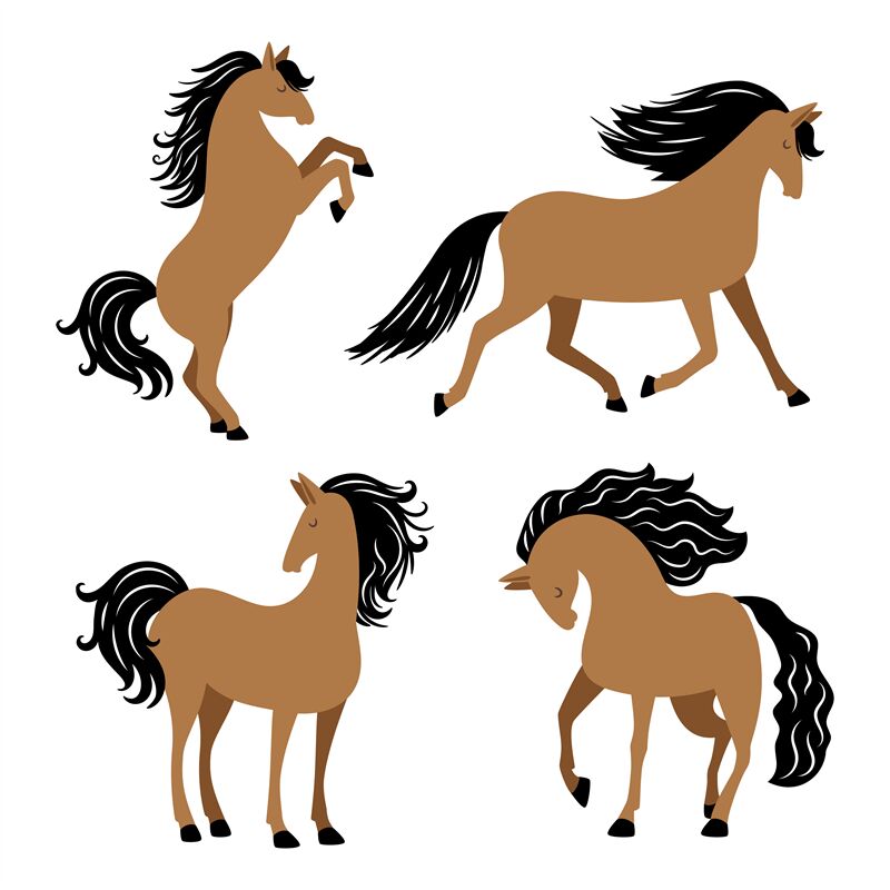 cartoon pictures of horses