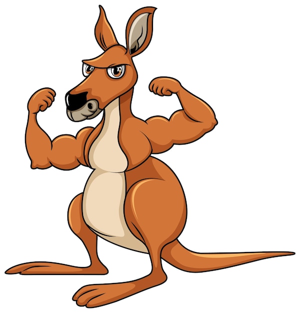 cartoon pictures of kangaroos