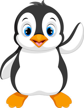 cartoon pictures of penguins