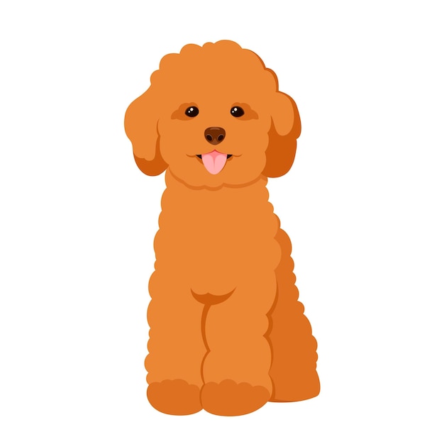 cartoon poodle pictures