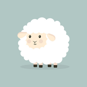 cartoon sheeps