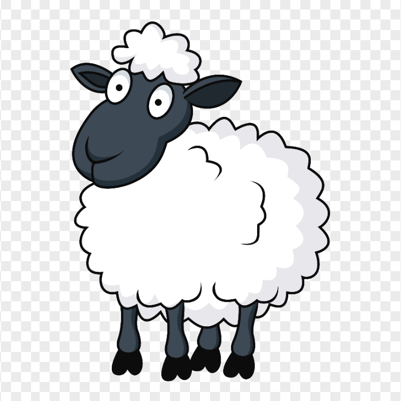Cartoon White &amp; Black Sheep | Citypng