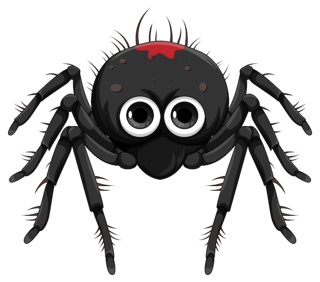 Spider Cartoon Bilder - Kostenloser Download auf clipart library