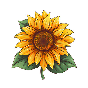 cartoon sunflower pictures