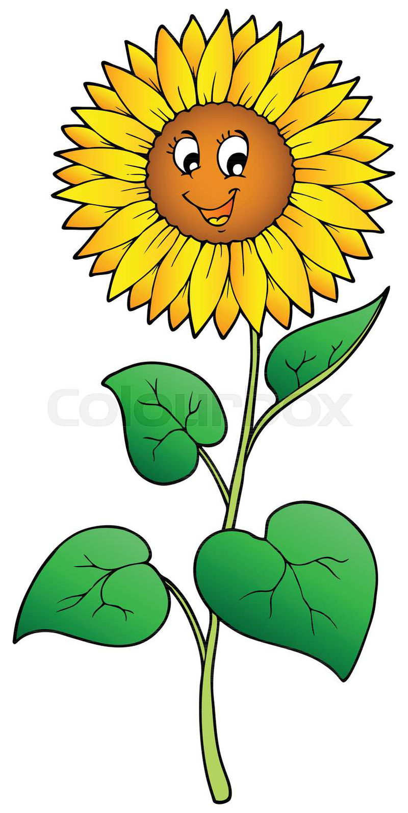 cartoon sunflower pictures