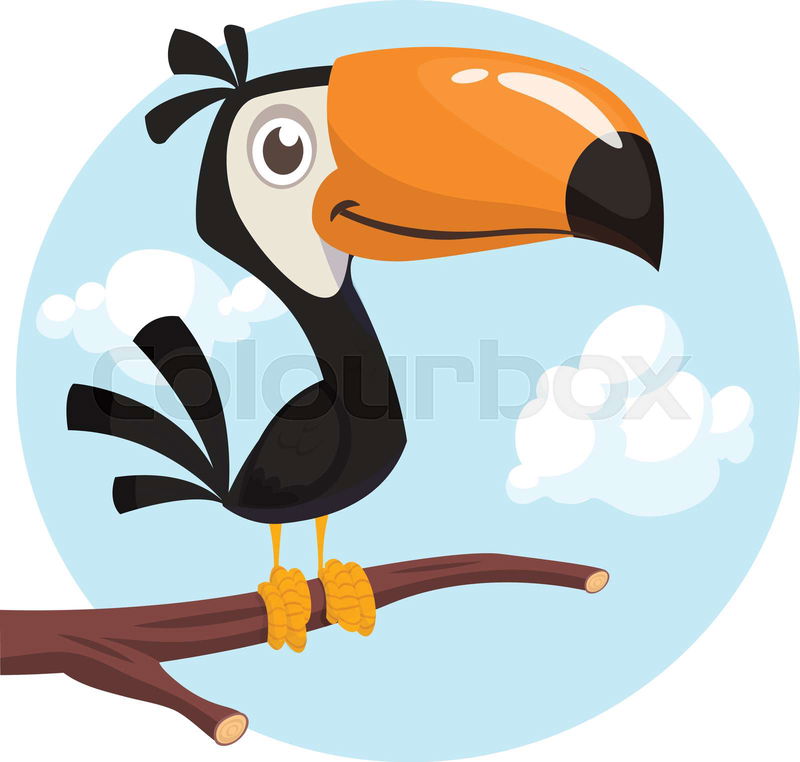 Funny toucan cartoon. Vector bird illustration | Colourbox