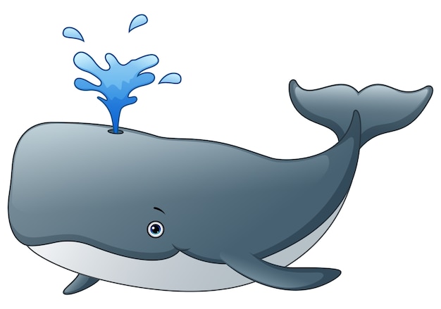 cartoon whale images