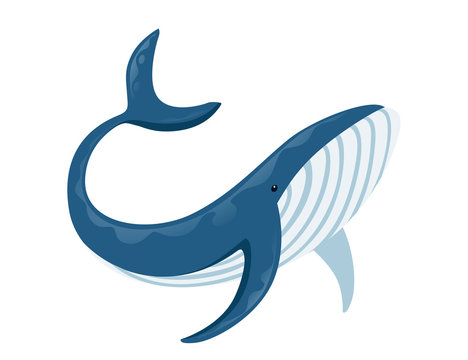cartoon whales pictures