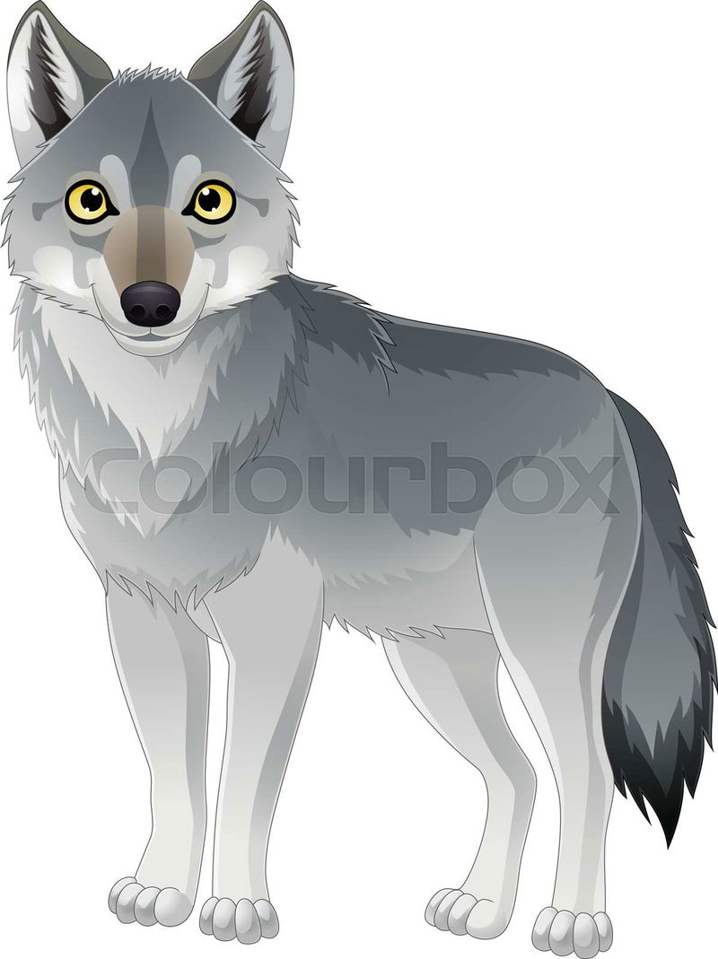 Stockfoto von wolf, cartoon, grau | Colourbox