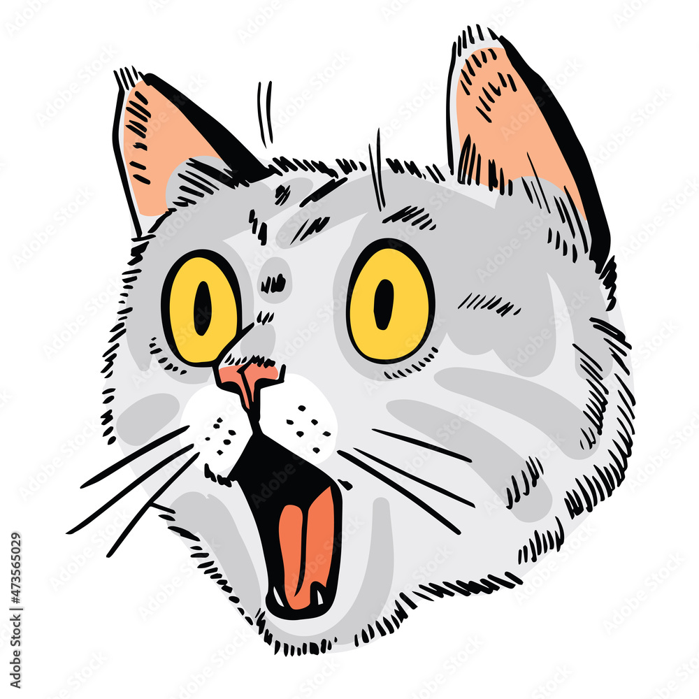 cat cartoon drawings