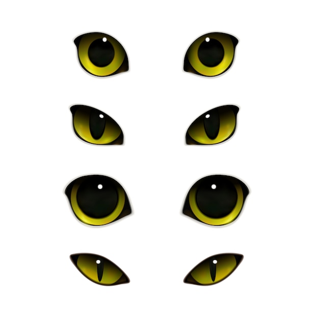 cat eyes clipart