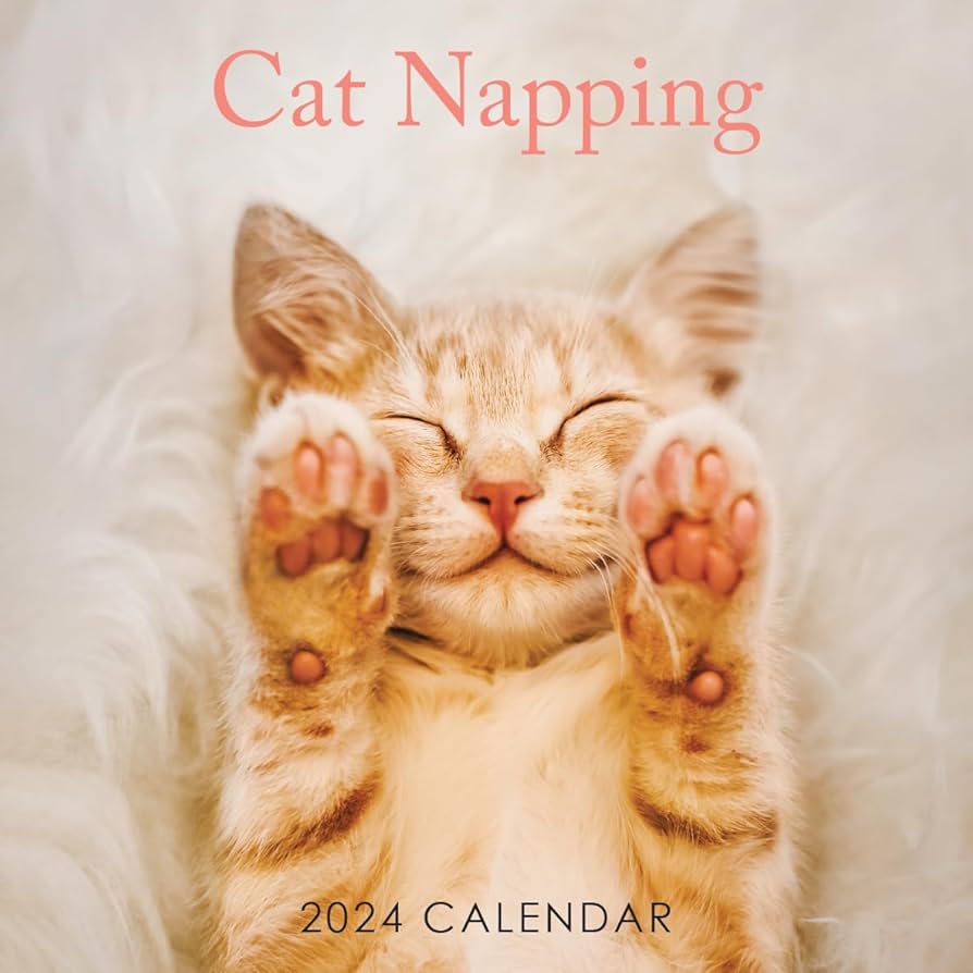 cat napping cliparts 2024