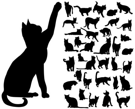 Cat Silhouette Images – Browse 701,125 Stock Photos, Vectors, and ...