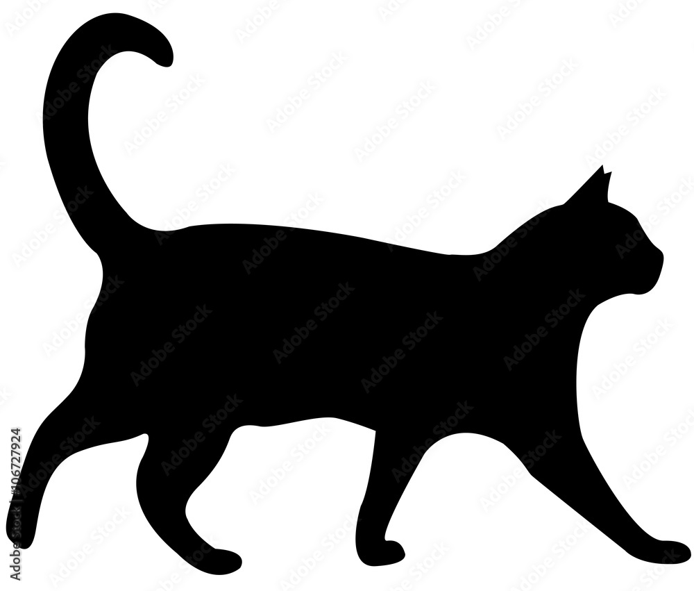 cat sillouette