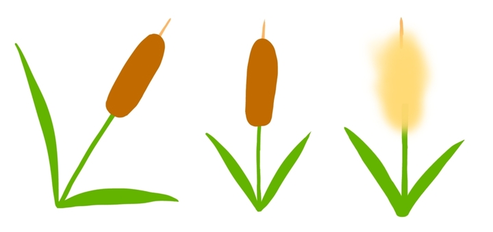 cattail cliparts 2024