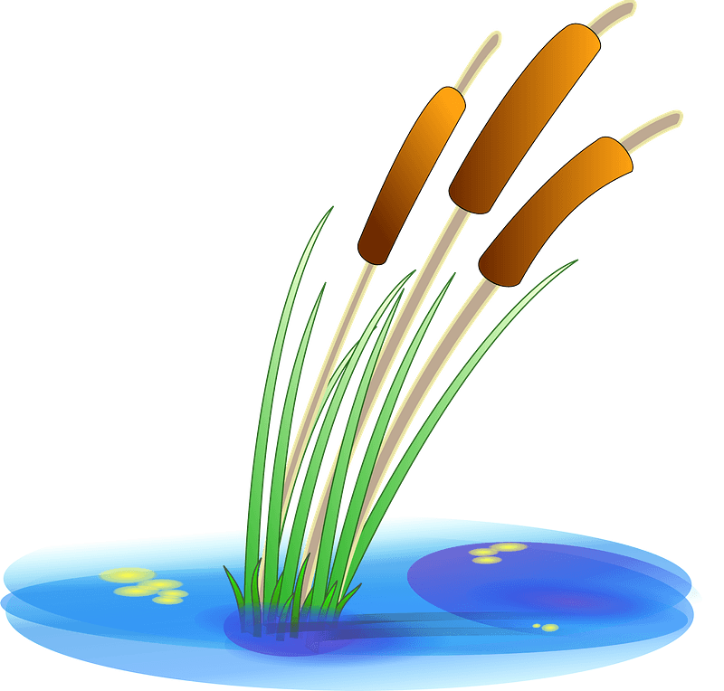 cattail cliparts