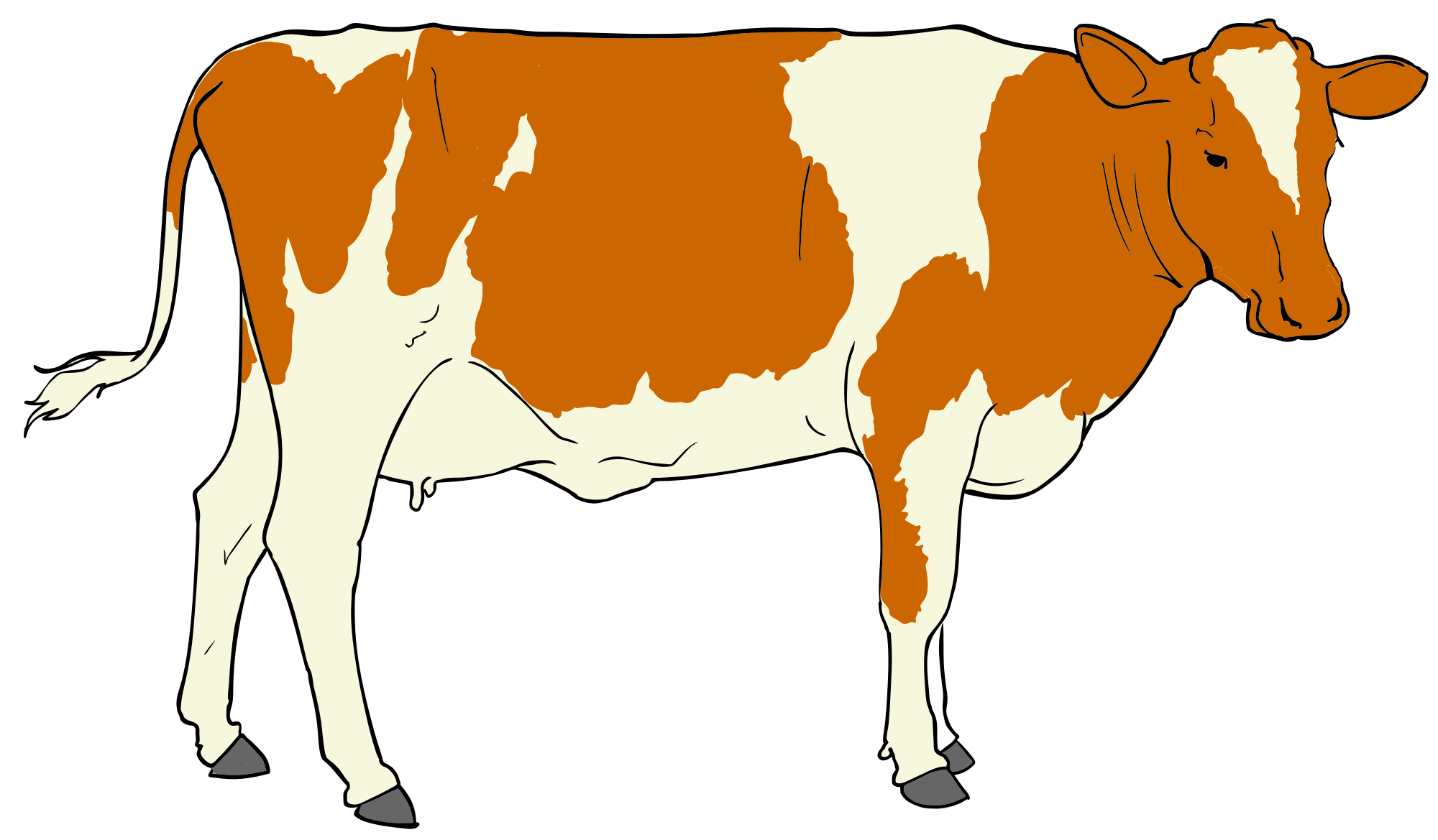 cattle cliparts