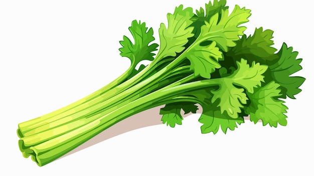 celery cliparts