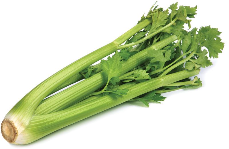 celerys