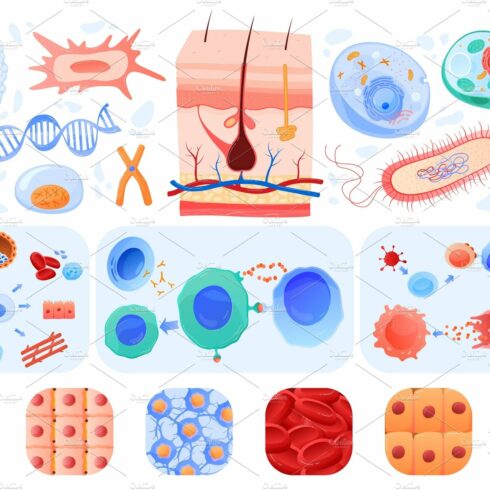 cell cliparts 2024