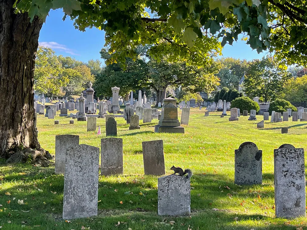 The Potential of Our Decay: Cemeteries That Save the American ...