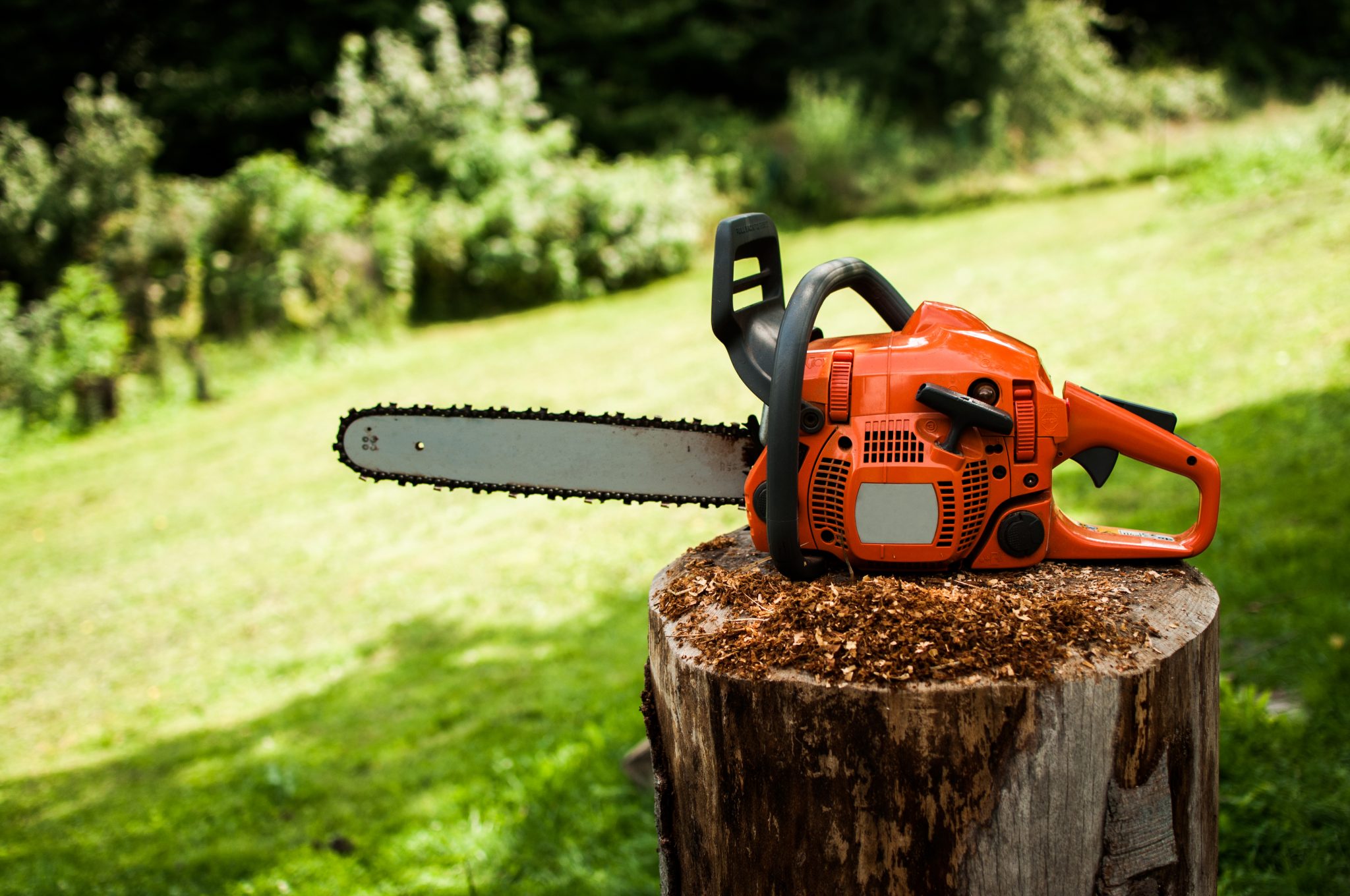 Chainsaw Safety: Safety Features and Maintenance - Alabama ...