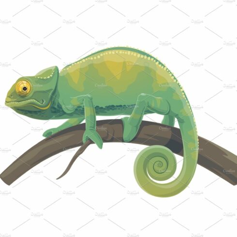 chameleon cliparts 2024