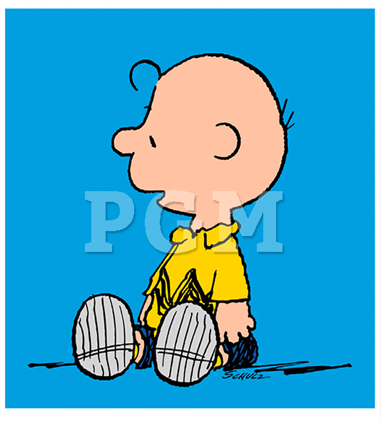 Peanuts Charlie Brown - Blue
