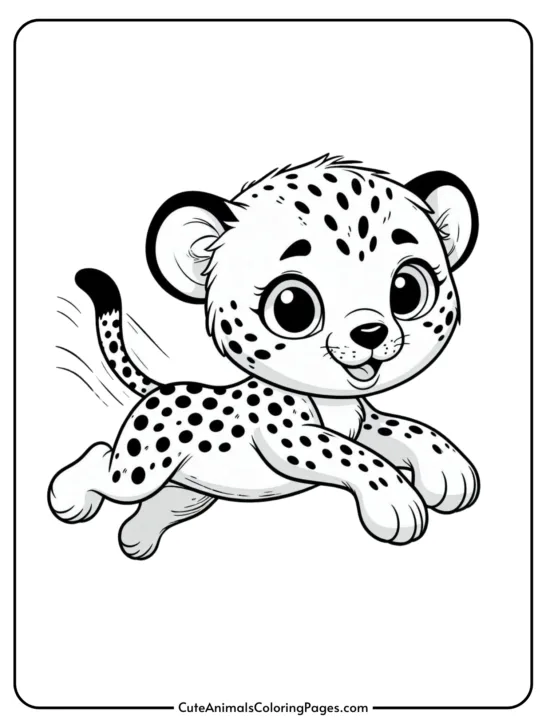 cheetah coloring pictures