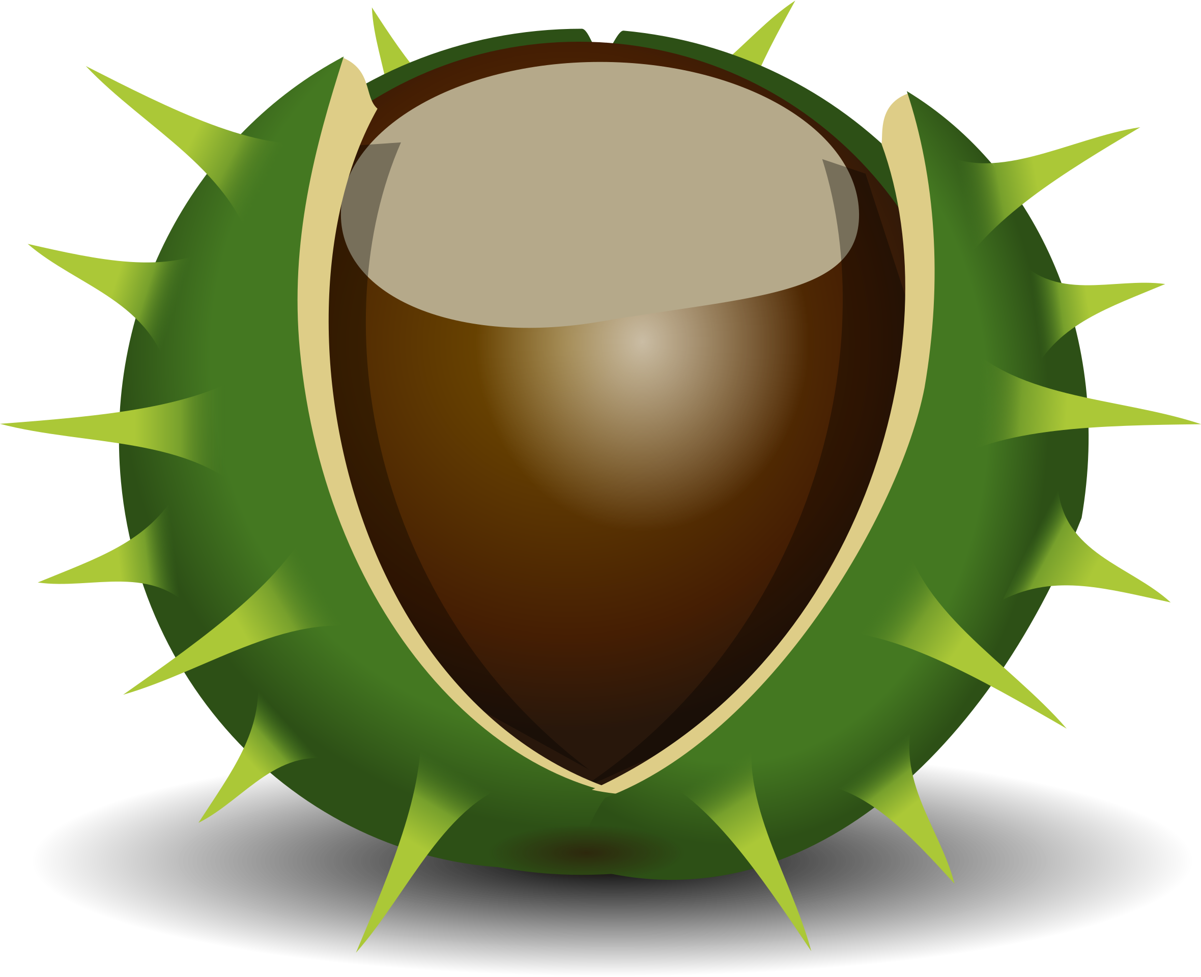 Chestnut - Free vector clipart images on clipart library.com