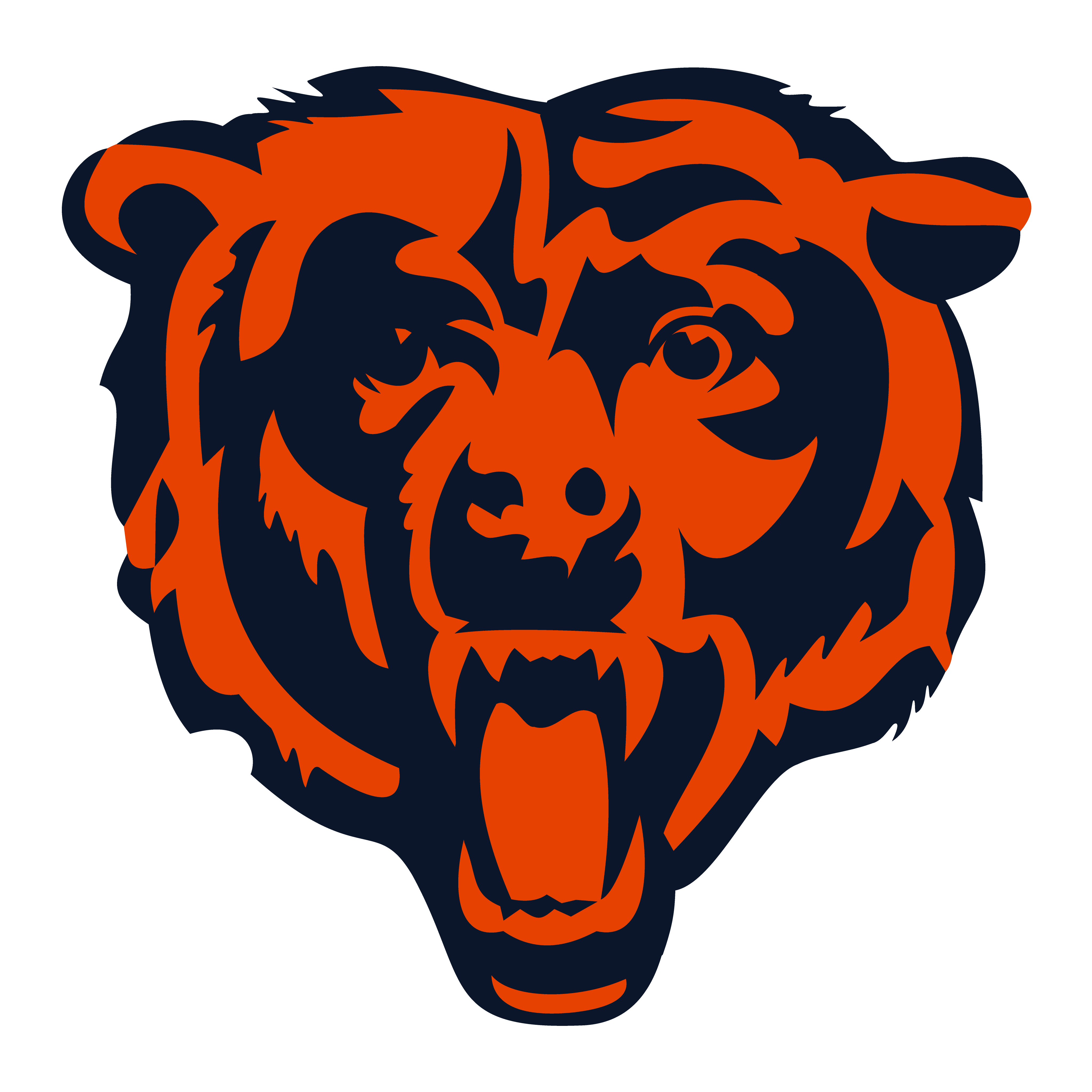 chicago bears