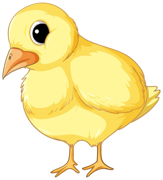 chick cliparts