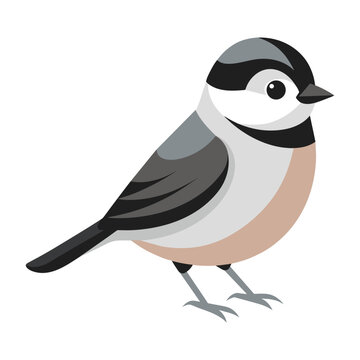 chickadee clipart 2024