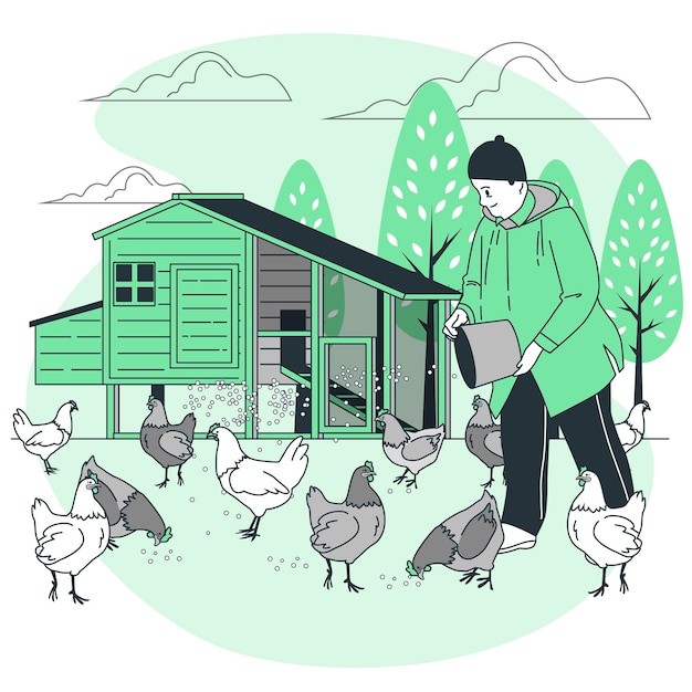 Chicken Care Vectors &amp; Illustrations for Free Download | clipart library