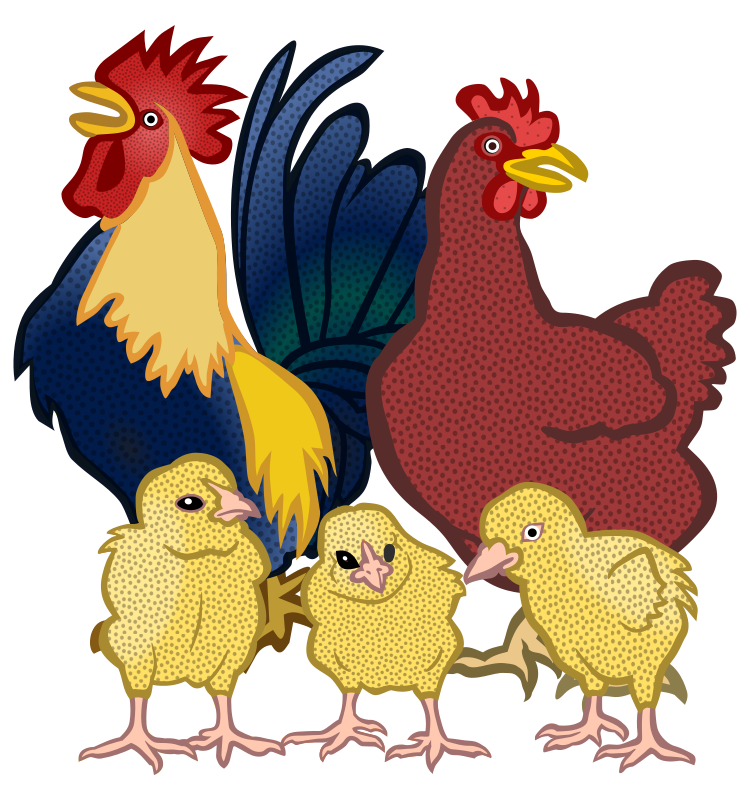 chickens - coloured - Openclipart