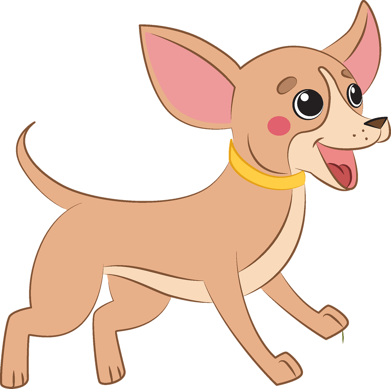 chihuahua cliparts