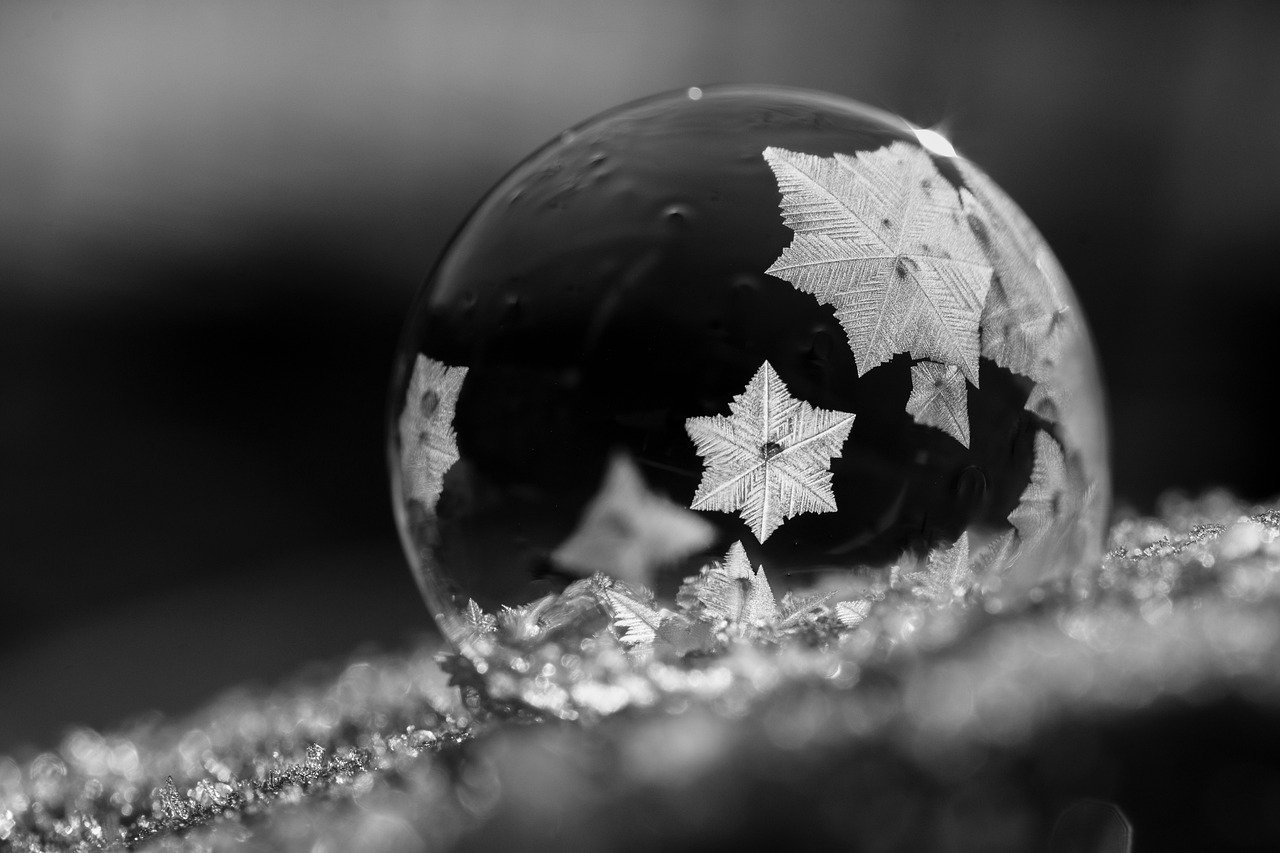 christmas black and white images
